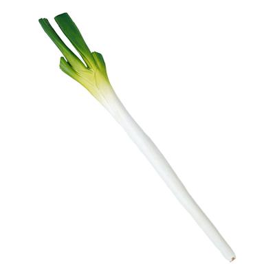 Artificial Green Onion Fake Food Photo Photography Realistic Vegetable Interior PU 1 Piece Model, Vegetable, Sample, Prop, Model, Prop, Model,