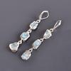 Larimar Stone Silver Plated Anniversary Electroformed Dangle Wife Gift Earrings V-101