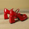 High heels women's 2025 new temperament celebrity waterproof table French thick heel square head Mary Jane shoes one-word buckle belt