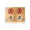 Douk Audio High-Precision Passive Preamp with Volume Controller and HiFi Preamp (HiFi Version, Gold)