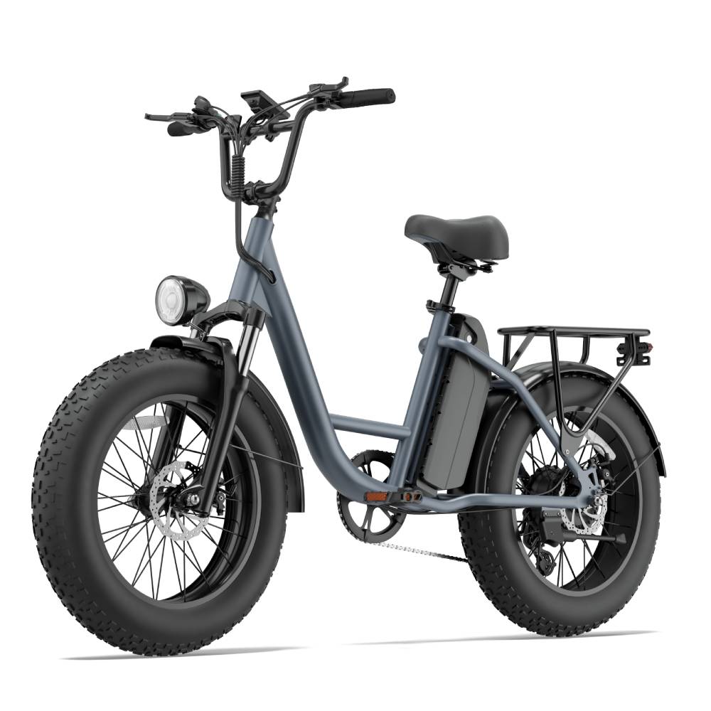 URLIFE E20 PRO Elektrisches Fahrrad für Erwachsene 1500W Motor 48V 15,6AH Akku 20" Fettreifen Geländetaugliches Elektrofahrrad