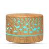 Creative Aroma Humidifier with Seven-Color Night Light for Home