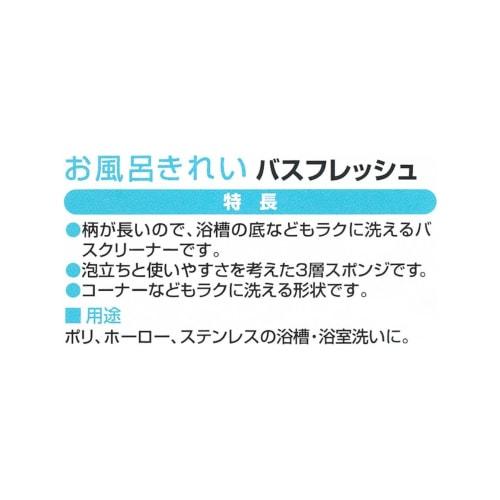 Ohe Badreinigung Bad Frisch