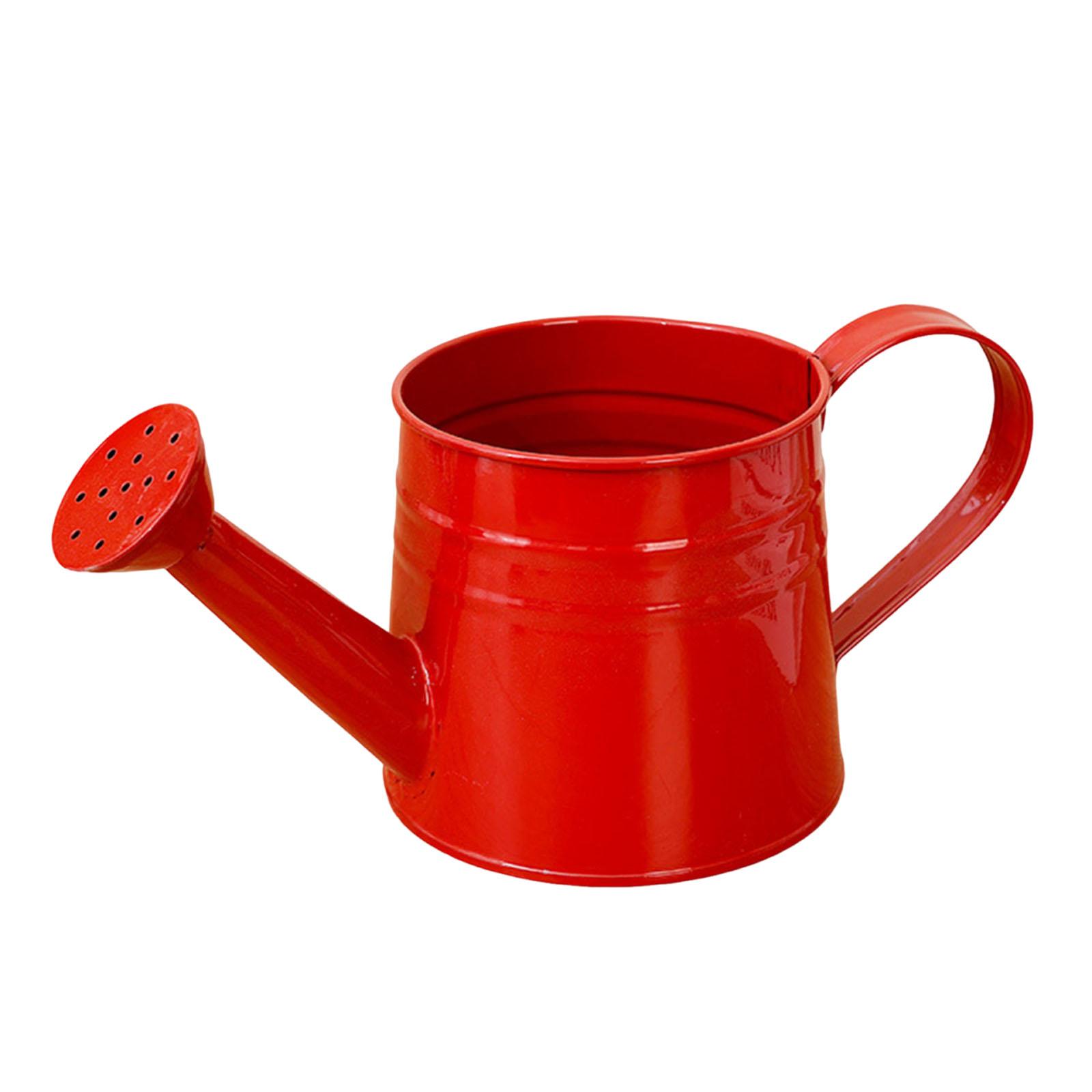 1L Zincplate Watering Kettle Flower Plant Waterer Device Galvanized Spray Water Kettle for Indoor Outdoor Lawn Garden Backyard