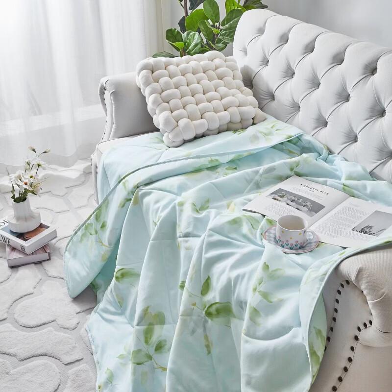 Mengjie Soft & Refreshing Summer Quilt - Xiaoshili Series
