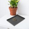 Ciotola Acqua Rettili Alimentazione Anfibi Accessori Mangiatoia Decorativa Bagno