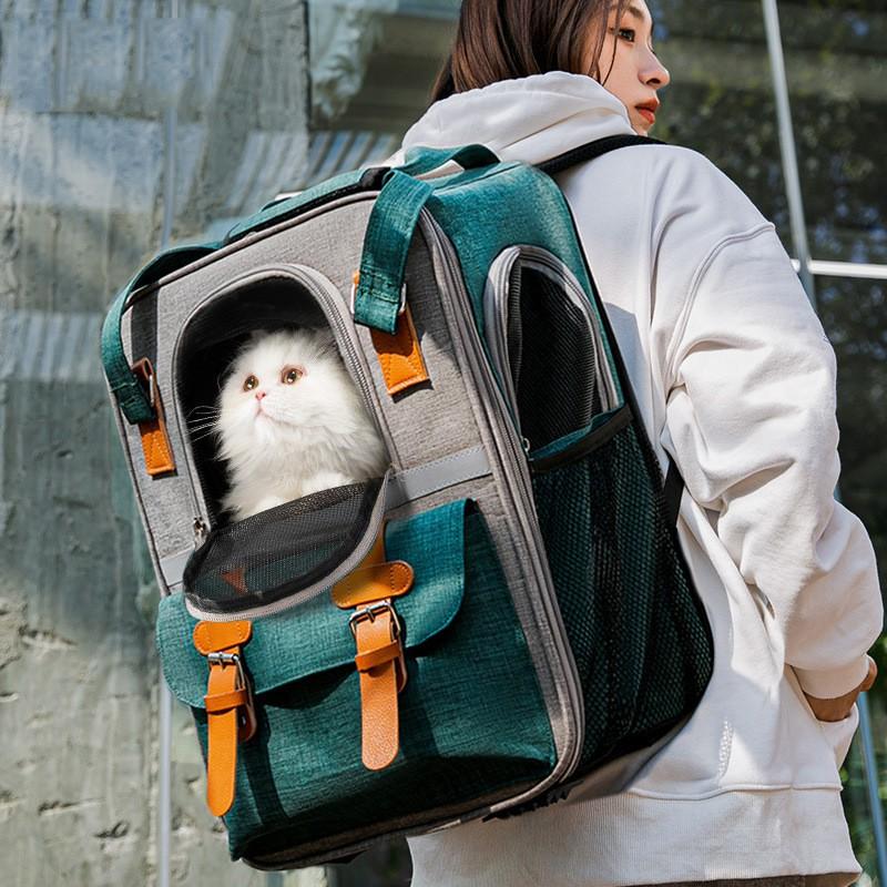 Large Capacity Pet Carrier Backpack Cats Small Dogs Up To 7kg Portable Travel Bag With Ventilation Mesh