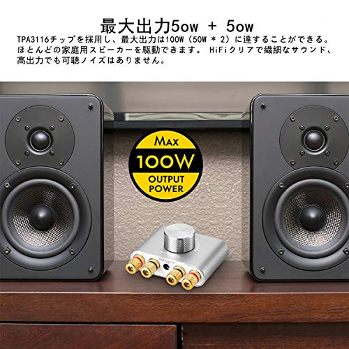 Nobsound NS-01G Pro Leistungsverstärker, Bluetooth 5.0, 100W, Verstärker, Lautsprecher, HiFi Audio, mit Netzteil (Silber)