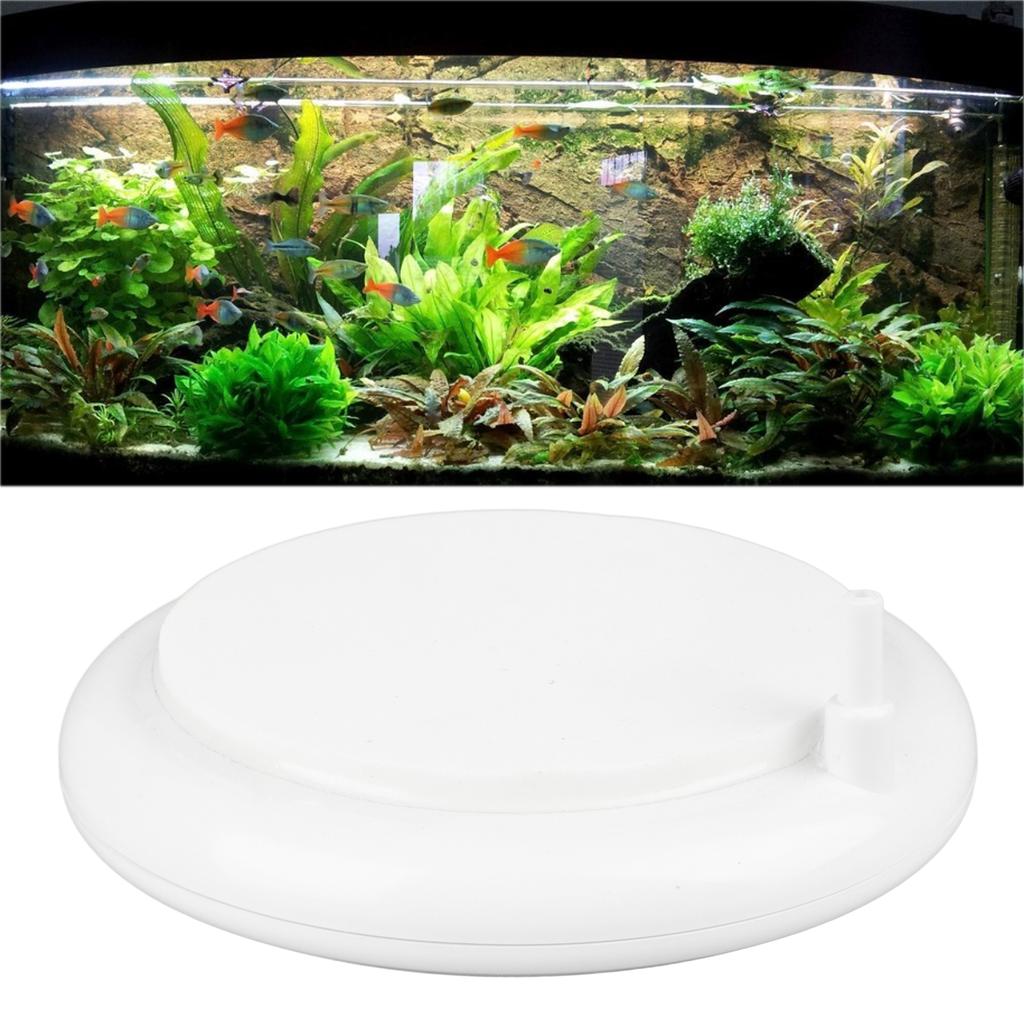 Bubble Disc Professional Atomizing High Dissolved Oxygen Aquarium Stone Disc Bubbler 10cm
