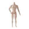 1/6 Bebek Gövdesi Hareketli Eklemli Süper Model Bebek 11 Eklemli 29cm Figür Gövdesi Erkek Model Süper Model Bebek Moda Bebek Çocuklar İçin Kendin Yap Oyuncak Hediye