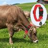 Quick Release Buckle Anti-lost Pet Collar Adjustable Goat Collar  Outdoor Pasture Grazing