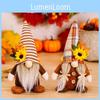 Delightful Thanksgiving Display No Face Doll Goblin With Sunflower And Maple Leaf Accents