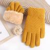 New Warm and Cold-proof Touch Screen Gloves Thickened and Velvet Women's Winter Knitted Gloves To Protect The Cold