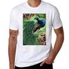 Le Paon Bleu Tshirt Simple Solid Color Crew Neck Tee