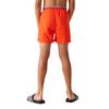 Regatta Childrens/Kids Skander III Plain Swim Shorts