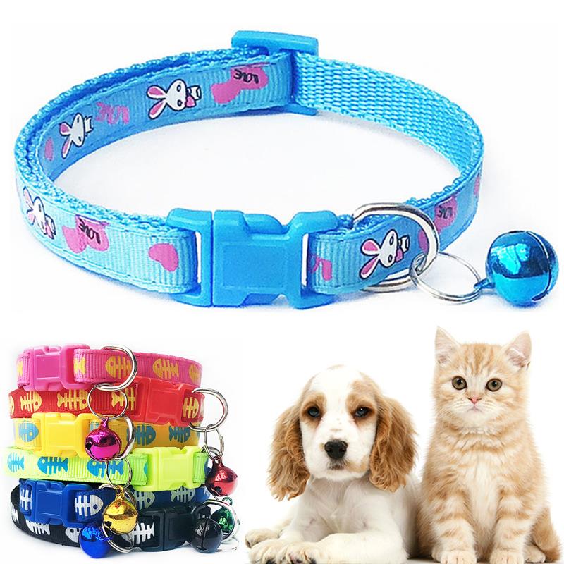 dog accessories daraz