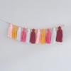 Nordic Hanging Tassel for Nursery Decor Bunting Birthday Party Decorations Carni