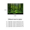 Adeziv PVC Poster Fundal Acvariu Pădure Subacvatică Decor Hârtie (61*30 cm)