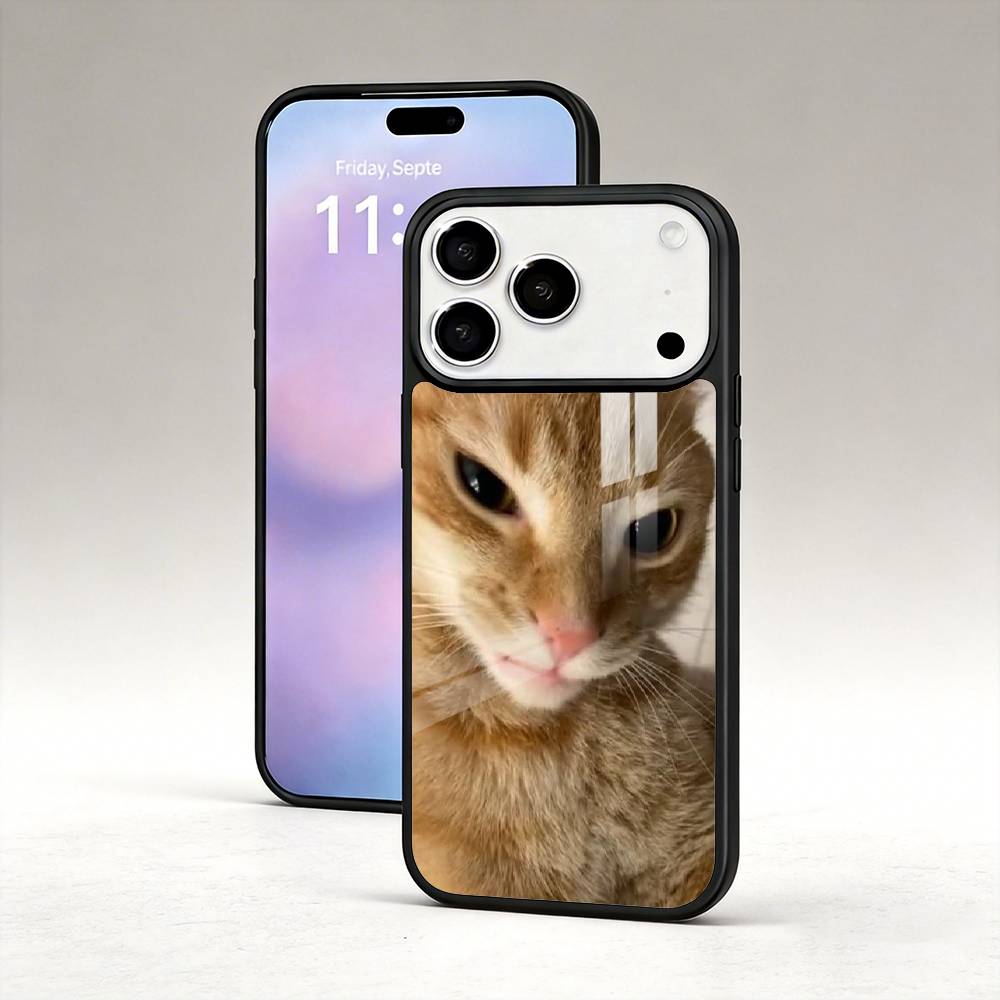 Funny Cat Memes Phone Case For iPhone17,16,15,14,13,12,Pro,Max,Magnetic For Magsafe Wireless Charging