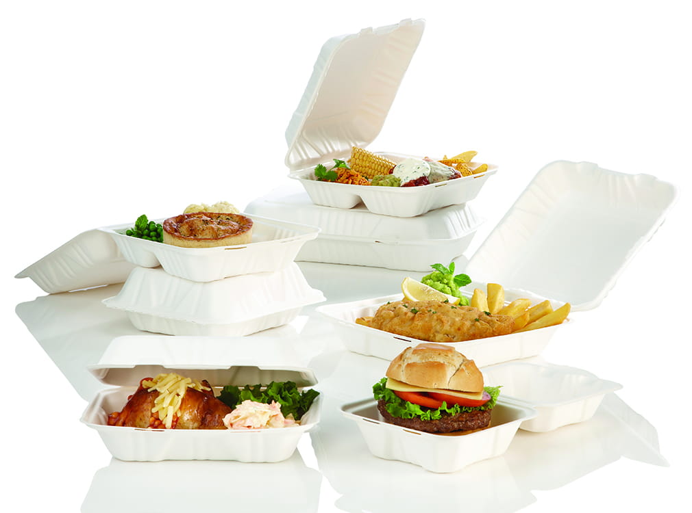 Menu Box Lunch Box 23 X - . Made Of Eco Reed Pulp