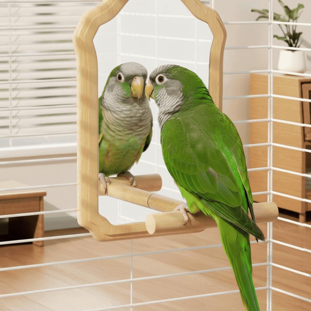 Wear-Resisting Bird Mirror Perch Bite-Resistance Parrot Platform Stand Parrot Mirror Toy Playing
