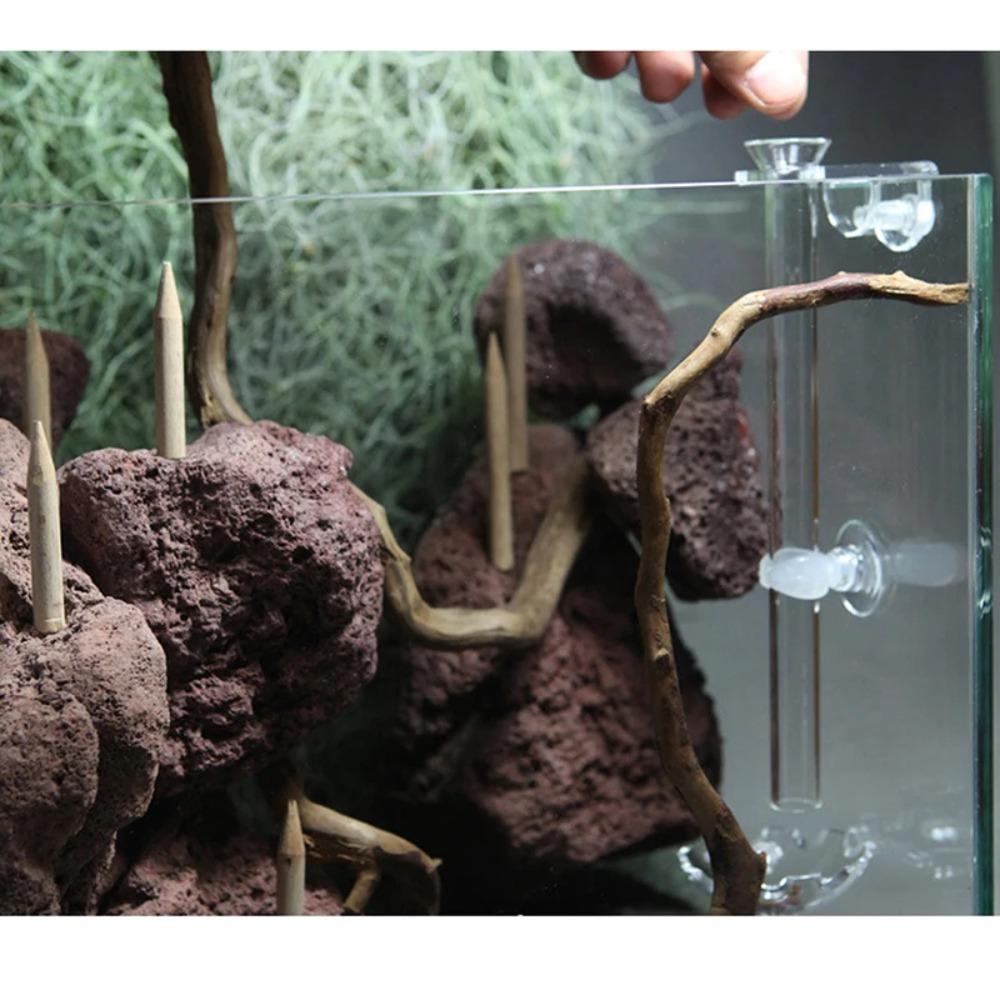 Suction Dish Suction Accessory Acrylic Feeding Tube New Clear Glass Feeding Tube