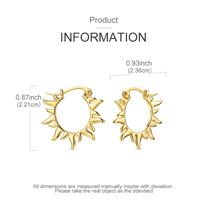 Gold Serie Hoop Earrings 925 Silver Sparkling Irregular Shape Feather Star Earrings Stud for Woman Girl Jewelry Gift