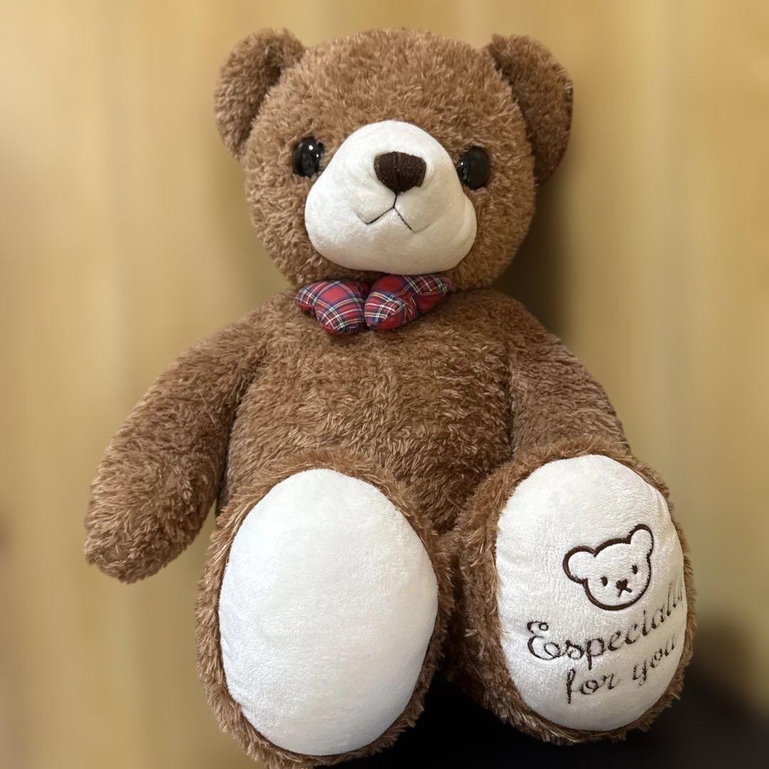 

[USED] teddy bear stuffed toy teddy bear