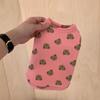 Spring and Autumn Bottom Shirt Teddy Dog Bigbear Cat Pomeranian Yorkshire Schnauzer Small Puppy Pet Clothes