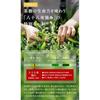 Arahataen Daichi no Uta Hachijuhachiya Tsumi Shizuoka Tea Season 100g Green Japanese Premium Gift Prefecture Deep Steamed