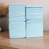 Thickened Deodorizing Dog Pee Pads | Absorbent Disposable Pet Toilet Pads