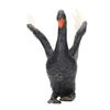 Black Swan Figurine Lifelike Appearance Eco Friendly PVC Stimulate Imagination Black Swan Toy for
