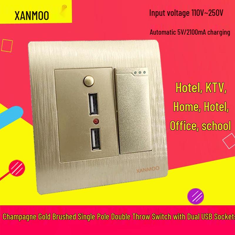 Type 86 Wall Single Pole Double Throw Switch with Dual USB Socket for Household