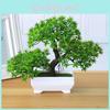 Artificial Pine The Greeting Guests Potted Plant Indoor Use For Decor Desktop