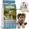 Karma Dla Maltese York Shih Tzu French Bulldog Divinus Mini 10Kg