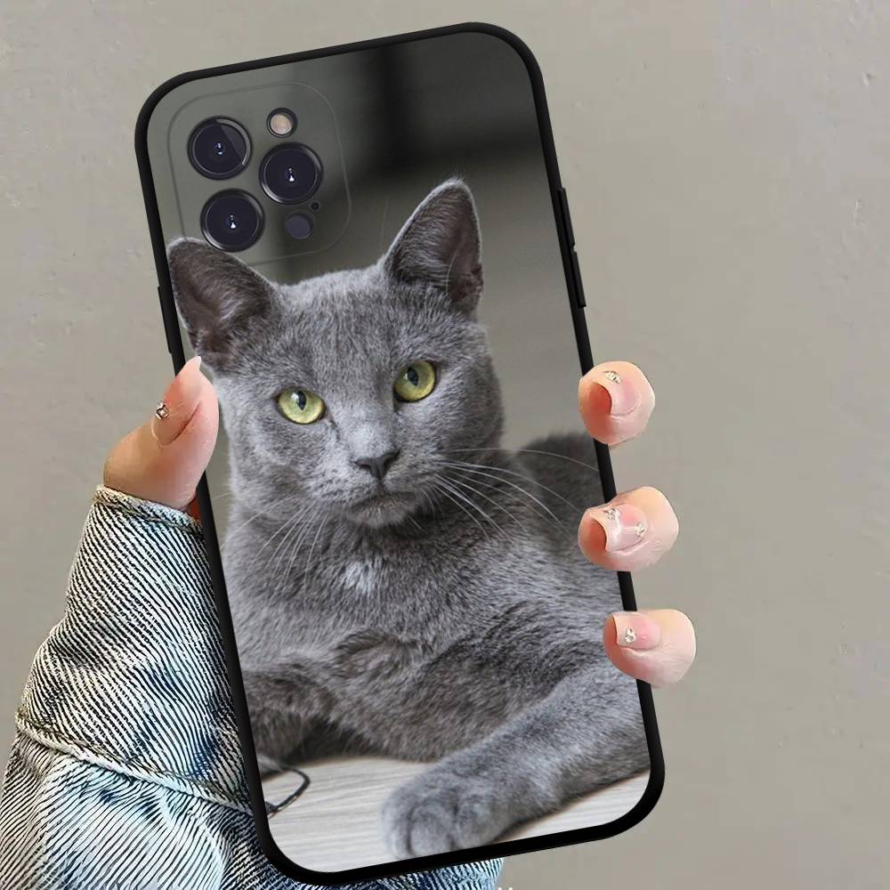 British shorthair cat Phone Case Black Soft Silicone TPU Phone Case For IPhone 11 12 13 14 15 16 17 Pro Plus Mini Max