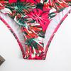 2025 European & American Women's Sexy Ruffle Backless Bikini Swimsuit