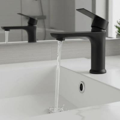 Stainless Steel Bathroom Faucet Single Cold Anti-Leakage Lavatory Basin Faucet Corrosion-resistant Single Handle