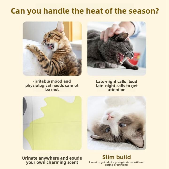 50ML Cat Heat Suppressant - For Male & Female Cats: Stops Excessive Meowing, Spraying, and Heat-Related Behaviors
