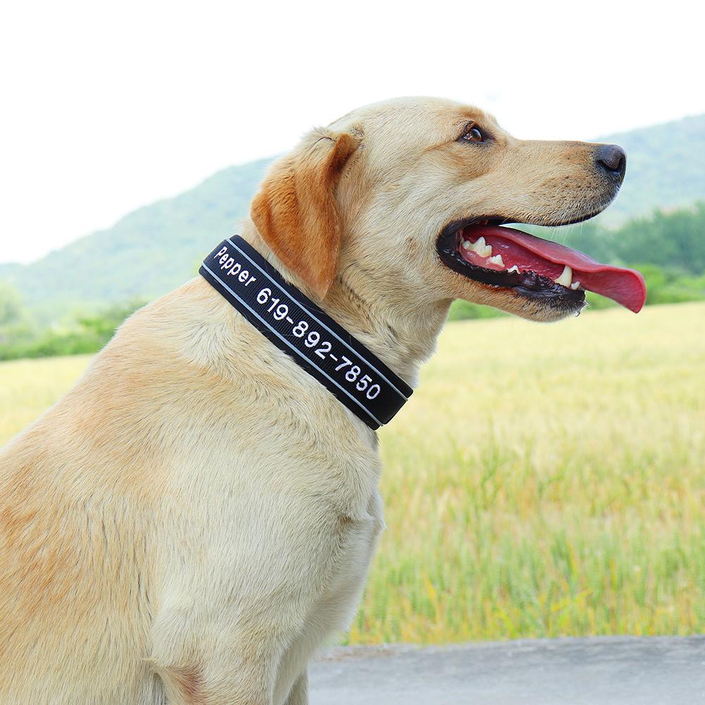 Reflective Custom Dog Collar Personalized Embroidery Pet Puppy Cat Collar Embroidered Phone Name For Small Medium Large Dog