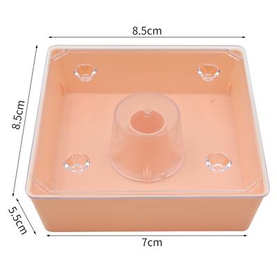 Europäischer Stil Quadratischer Bienenfutterspender Wasserspender ca. 2 Liter Fassungsvermögen Kunststoff Imkerfutterspender mit transparenter Abdeckung für Bienenstand