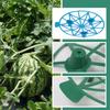 1/10pcs Watermelon Support Holder Round Plant Supports Garden Vegetable Harvest Basket Protector Climbing Rack Garden Supplies