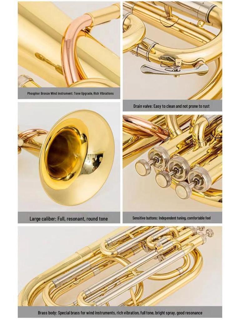 E-flat Alto Horn B-flat Tenor Horn Baritone Brass Bugle