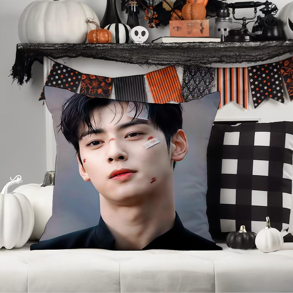 Korean Singer C-Cha E-Eun-W-Woo Pillow Case Office Cushions Suitable For Sofa Car Bedroom Decorative Cushion Cover