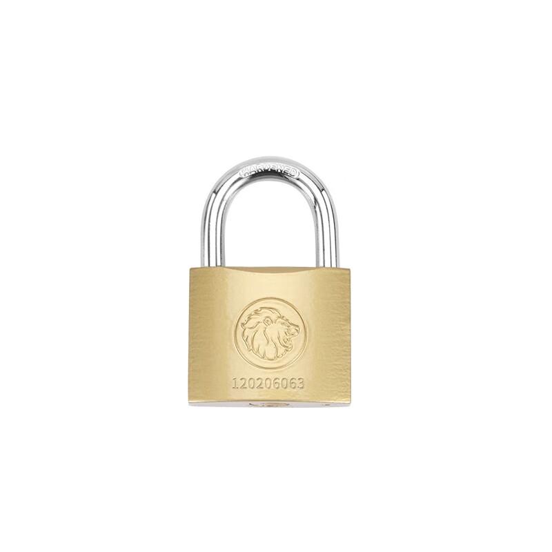 Berry Lion Anti-Theft Waterproof Padlock