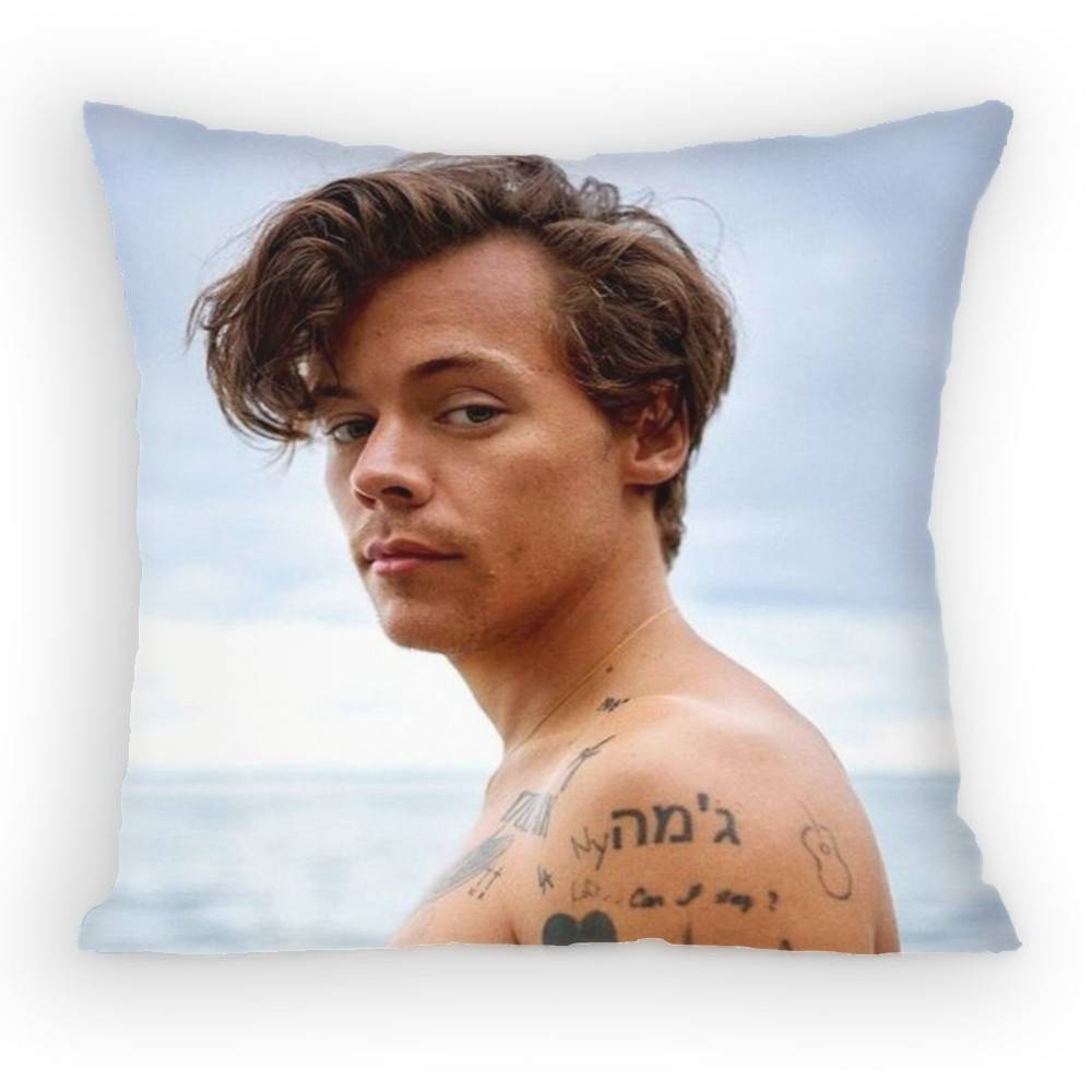 HHaRRyS Singer SStyles Pillow Case Antidustmite Pillowcase Invisible zipper silky short plush Sofa cushion cover