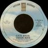 7inch Record CATE BROTHERS  Union Man E45294 Asylum Records 1975 US Rock Used