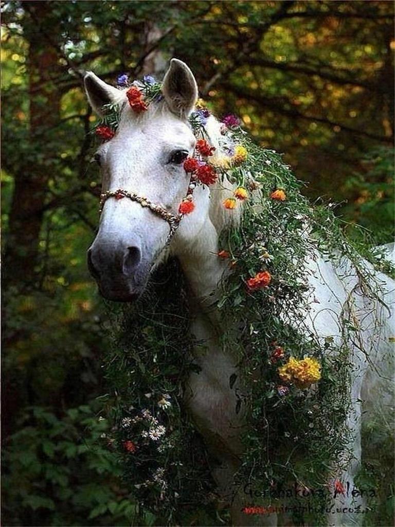 5D Diy Diamant Malerei Kreuzstich Kits Mosaik Diamant Stickerei Strass Mosaik Geschenk Dekorationen für Zuhause