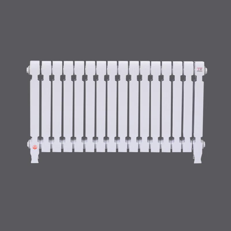 Lixing TZY2-6-8 Cast Iron Radiator