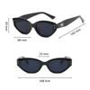 Korea Cat Eye Sunglasses Women INS Street Shot Sunshade Glasses Dustproof Windproof Riding Glasses UV400 Sunglasses